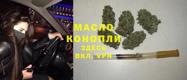 хмурый Верея