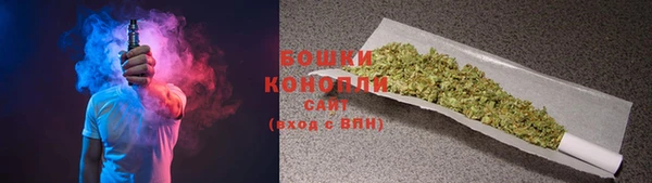 хмурый Верея