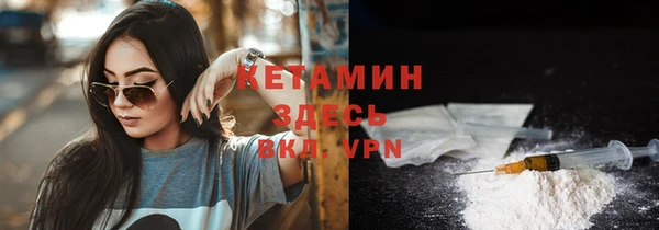 хмурый Верея