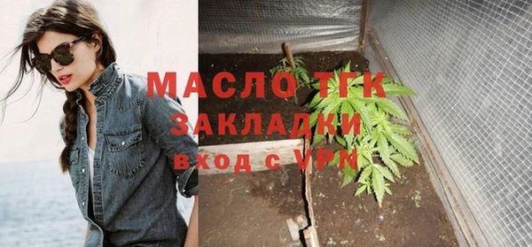 хмурый Верея
