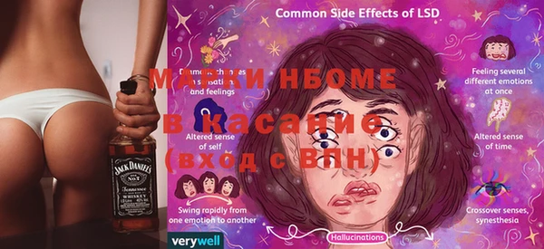 хмурый Верея