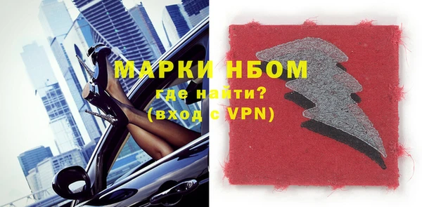 хмурый Верея