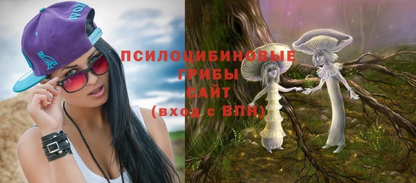 хмурый Верея