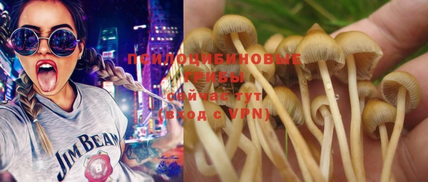 PSILOCYBIN Верхнеуральск
