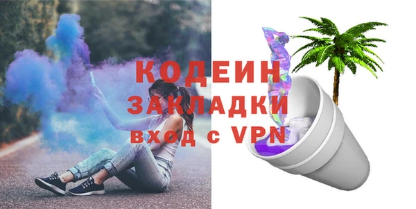 хмурый Верея